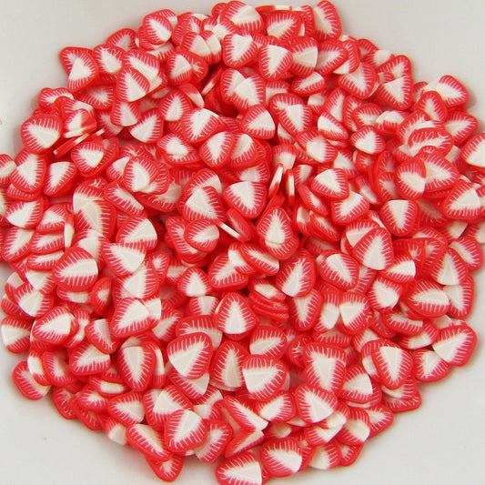 20g Strawberry Slice Polymer Clay Wafer Sprinkles Resin Mix-in Shaker Cards etc