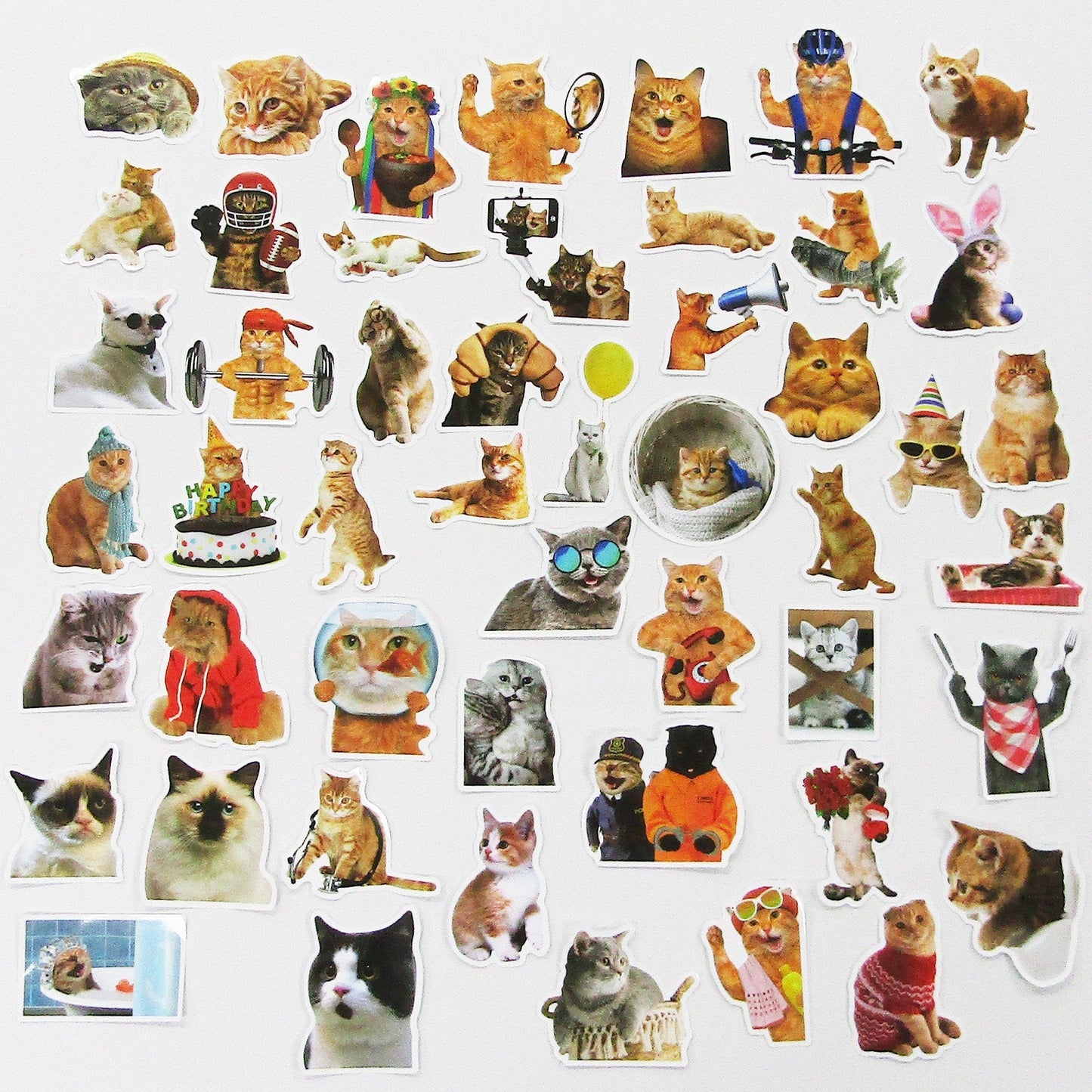 50pcs Funny Cats Sticker Bundle Schoolbooks Cards Junk Journal