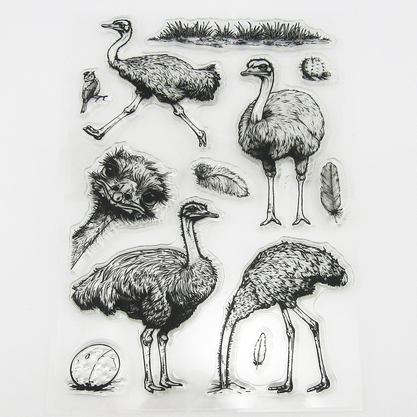 Emu Ostrich Clear Stamp Sheet Silicone Journal Scrapbook Cards